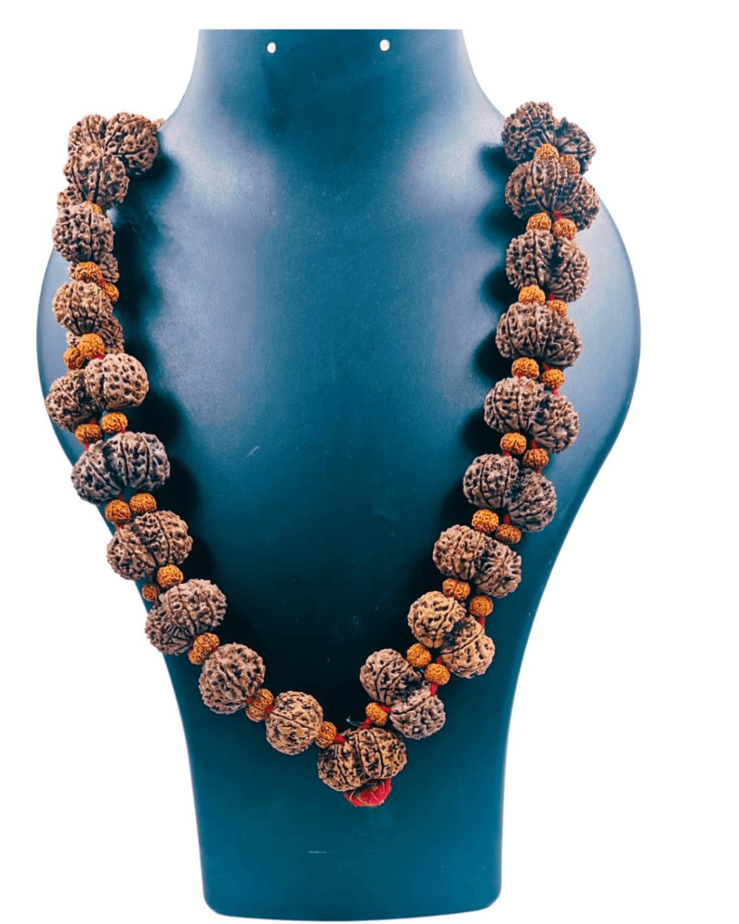 Gauri Shankar Rudraksh Mala